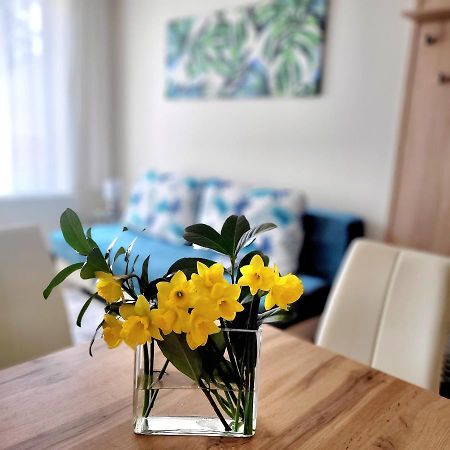 Silver Lodge Apartment 1 إغير المظهر الخارجي الصورة