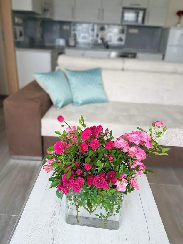 Silver Lodge Apartment 1 إغير المظهر الخارجي الصورة